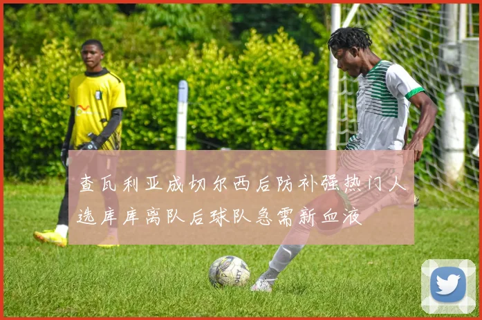 查瓦利亚成切尔西后防补强热门人选库库离队后球队急需新血液